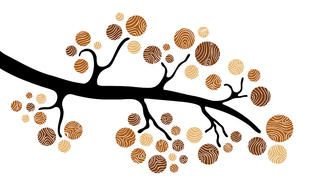 brown Branch Drawing