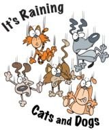 Raining Cats And Dogs Clip Art N2