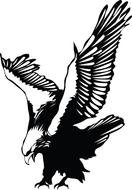 Eagle Tattoo Designs drawing