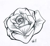Rose Tattoo Stencils drawing