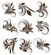 Floral Vector Design Elements N2