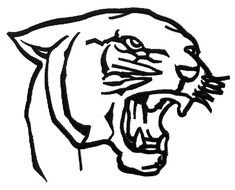 Panther Face as an illustration