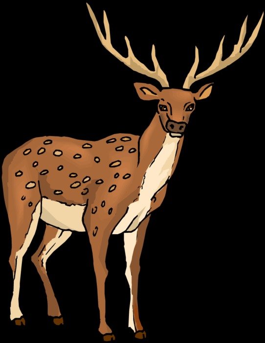 Deer Clip Art N12