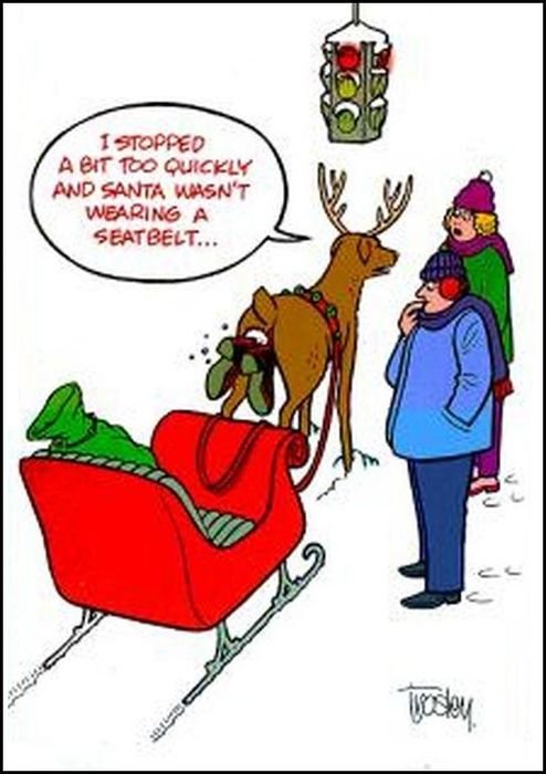 Adult Christmas Cartoons And Jokes
