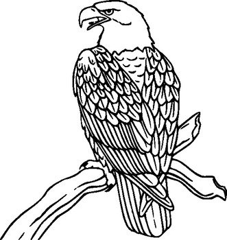 Bald Eagle Clip Art N3