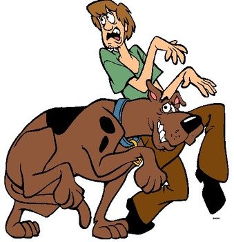 Shaggy Scooby Doo N2