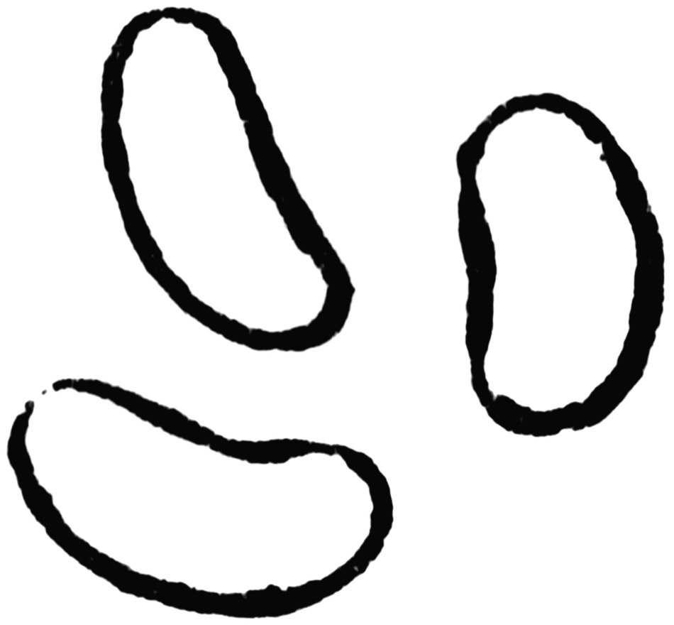 Planting Seeds drawing