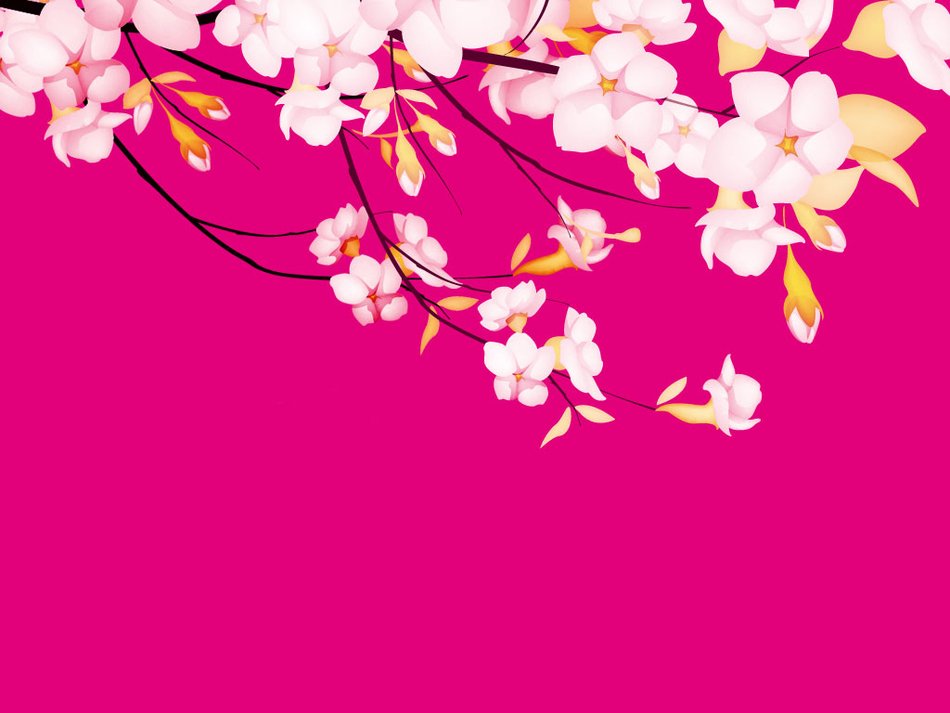 Pink Spring Flowers as an illustration