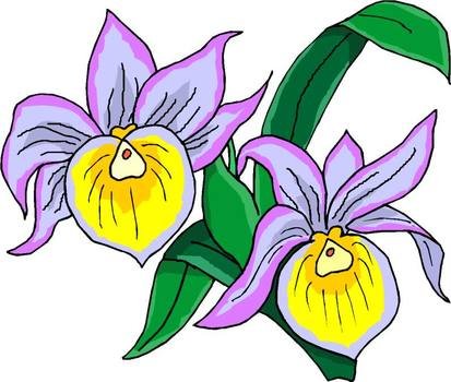 Flower Clip Art N83