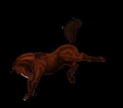 Bucking Horse