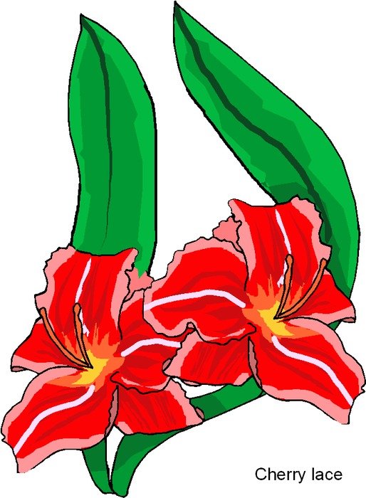 Clip Art of the red flowers