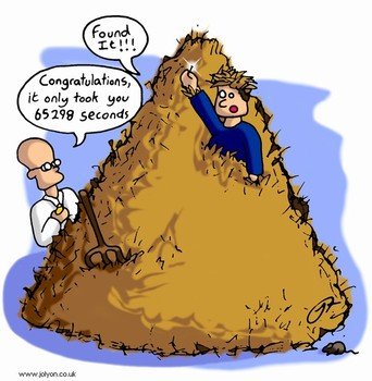 Needle Haystack