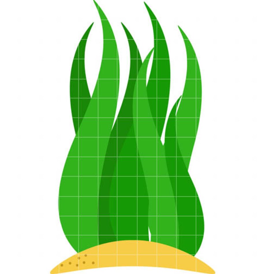 Sea Plants Clip Art N2
