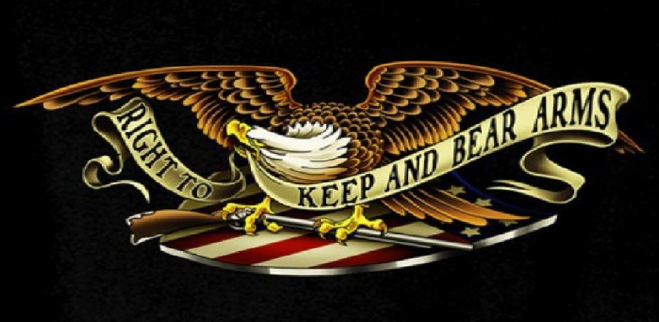 Right To Keep And Bear Arms drawing