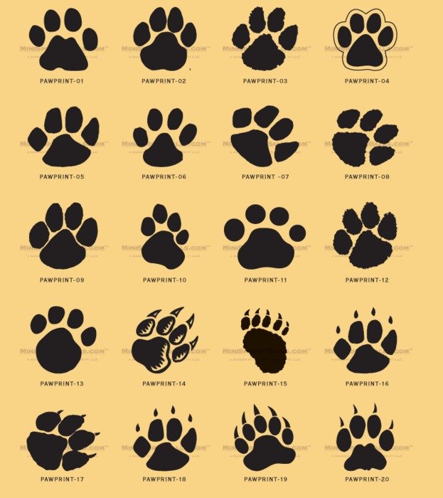 Paw Print Clip Art N19