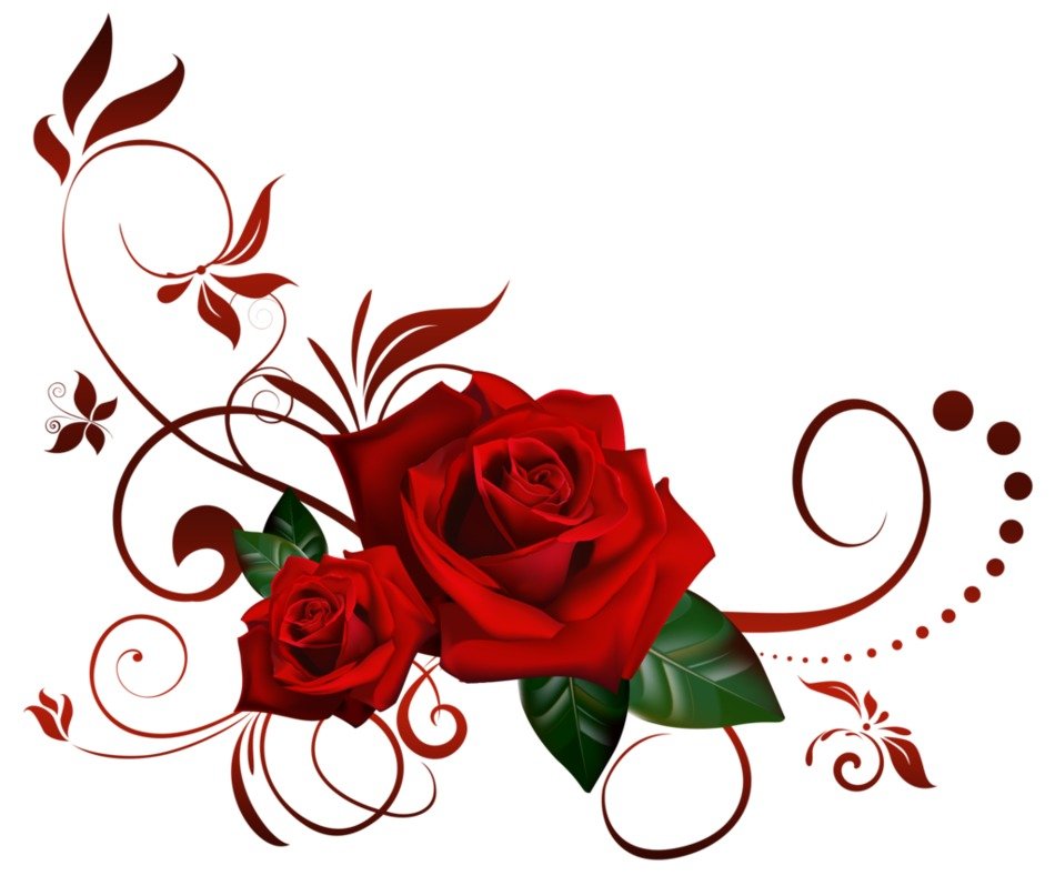 birthday card with red roses