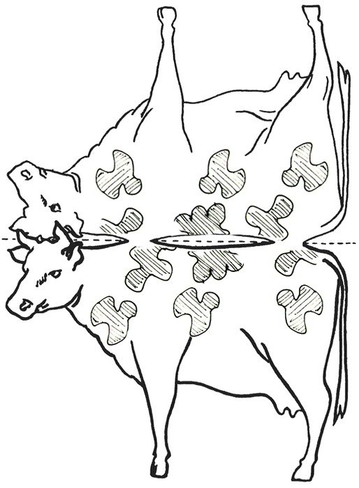 Cow Cut Out