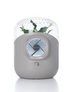 ANDREA: Plant-based Air Purifier (White)