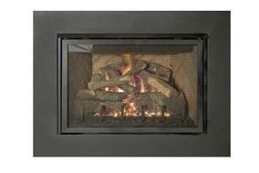Direct Vent 25 inch Insert with Mesh Barrier Screen - Natural Gas