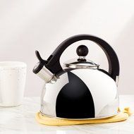 Wayfair Basics 2.64-qt. Stainless Steel Tea Kettle N2