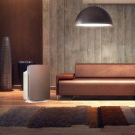 Alen BreatheSmart Customizable Air Purifier with HEPA-Pure Filter for Allergies and Dust (White, 1-Pack) N75