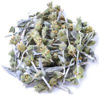 Klio Organic Greek Mountain Tea 2.65oz N4