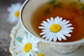 Organic Rose Chamomile Lavender Tea - Loose Herbal Blend - GMO Free - Relaxing - Calming Tisane by The Tea Company... N19