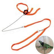 Bargain World Generic Adjustable Reptile Lizard Harness Leash Pet Leash