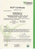 Moringa Oleifera Tea N8