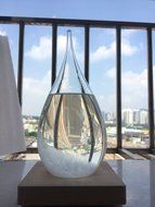 JJYOGA Storm Glass, Crystal Drops Water Shape Weather Forecaster，Europe Weather Monitors，Wood Base (Large) N2