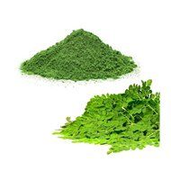 Moringa Oleifera Tea N15