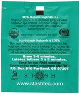 Stash Tea Premium Green Tea, 100 Count Box of Tea Bags in Foil N39