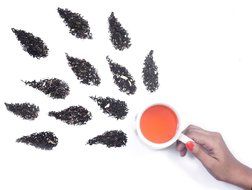 The Wellness Loose Leaf Teas Sampler- Premium and Exotic Darjeeling Green Teas From the Misty Himalayas Packed... N8