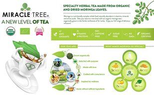 Miracle Tree - Organic Moringa Superfood Tea, 25 Individually Sealed Tea Bags, Mango N11