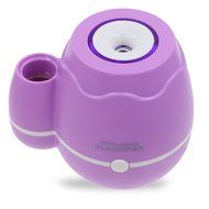 GetMine Flower Arranging and Air Humidification Multi-use Home or Office Desktop Mini Mist Humidifier, Pink