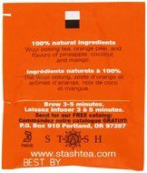 Stash Tea Premium Green Tea, 100 Count Box of Tea Bags in Foil N91