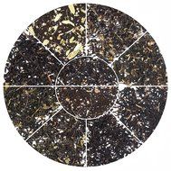 The Wellness Loose Leaf Teas Sampler- Premium and Exotic Darjeeling Green Teas From the Misty Himalayas Packed... N15
