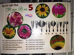 3d Gelatin Art Tools - Type 5 - 3d Jelly Cake Tools - 10 Pcs/set N3