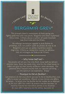 Higgins &amp; Burke Loose Leaf Tea, Lush Berry, 24 Count N2