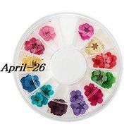 Wheel 12 Color Dried Dry 3D Flower Tips Nail Art Decoration Design Manicure DIY N2