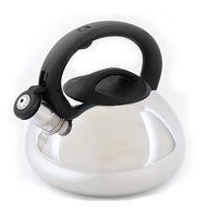 Mr. Coffee Flintshire Stainless Steel Whistling Tea Kettle, 1.75-Quart N2