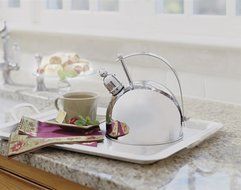 Cuisinart BA-165A Everyday Stainless 2-Quart Teakettle N2