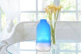 Essential Oil Diffuser Botella, Glass Aromatherapy Oils Humidifier and Mister Perfect Decor Gift for a Peaceful... N4