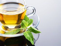 Organic Spearmint Tea, Loose Leaf Herbal Tea, Wild Tea #19 by Wild Foods (8 ounce) N2