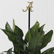 Henson Metal Works 3700-1 University of Alabama Collegiate Logo Rain Gauge