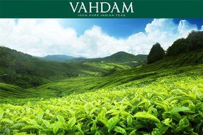 High Mountain Oolong Tea Leaves from the Himalayas, 100% Natural, Hand-plucked in High Elevation Plantations in... N38
