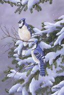 Toland Home Garden 1110426 "Two Blues Winter/Birds" Decorative Garden Flag, 12.5" x 18"