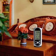 DYKIE RF Wireless LCD Weather Station with Green Backlight Indoor Outdoor Sauna thermometer and Temperature Alert... N3