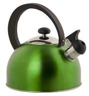 Home Basics Stainless Steel Tea Kettle, Silver N2