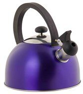 Home Basics Stainless Steel Tea Kettle, Silver N3